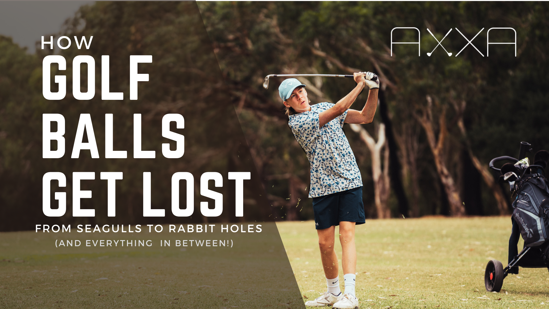 How Golf Balls Get Lost: From Seagulls to Rabbit Holes (And Everything in Between)
